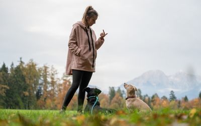 Hundetrainer/in