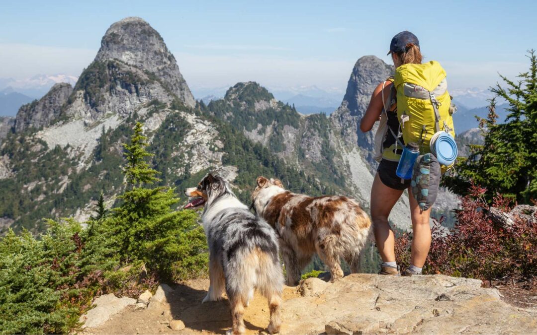 Bergwandern mit Hund: 10 unverzichtbare Tipps für ein sicheres und spaßiges Abenteuer