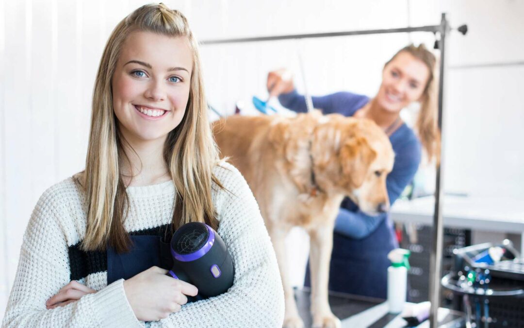Ausrüstung für ein Hundesalon: Alles, was du benötigst, um ein professioneller Groomer zu werden