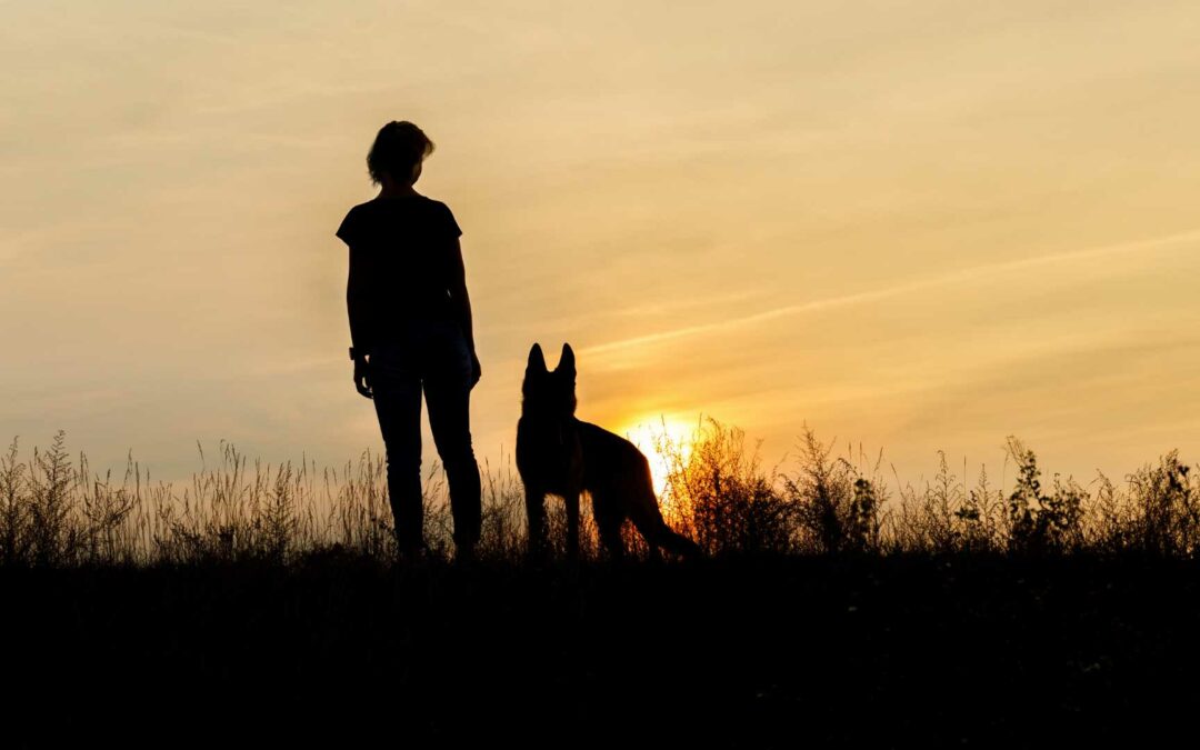 Sicherheit beim Gassi gehen mit deinem Hund im Dunkeln: Tipps und Ratschläge